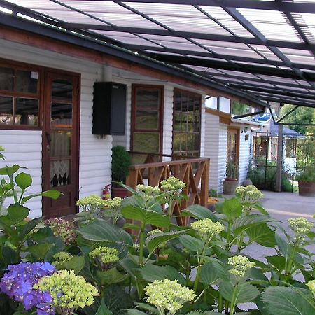 Complejo Cabanas Petalos Вильяррика Экстерьер фото