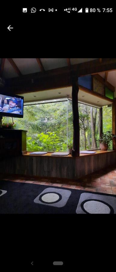 Complejo Cabanas Petalos Вильяррика Экстерьер фото