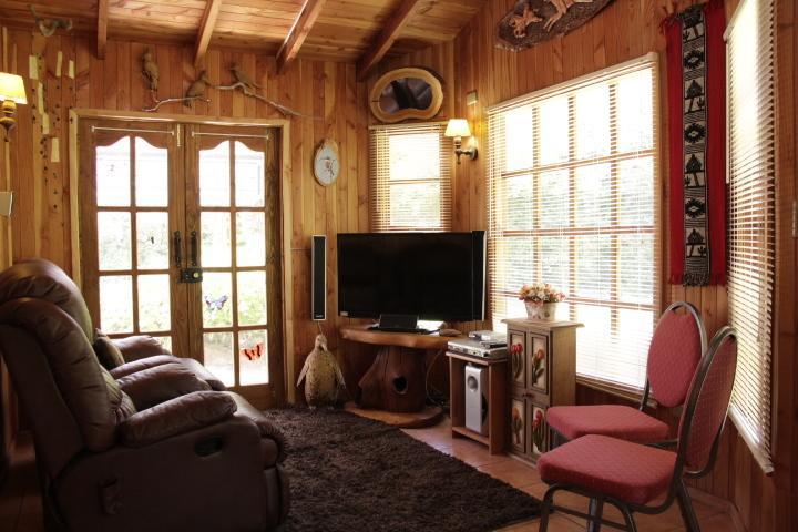 Complejo Cabanas Petalos Вильяррика Номер фото