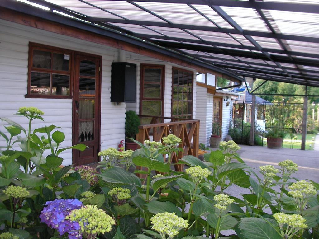 Complejo Cabanas Petalos Вильяррика Экстерьер фото